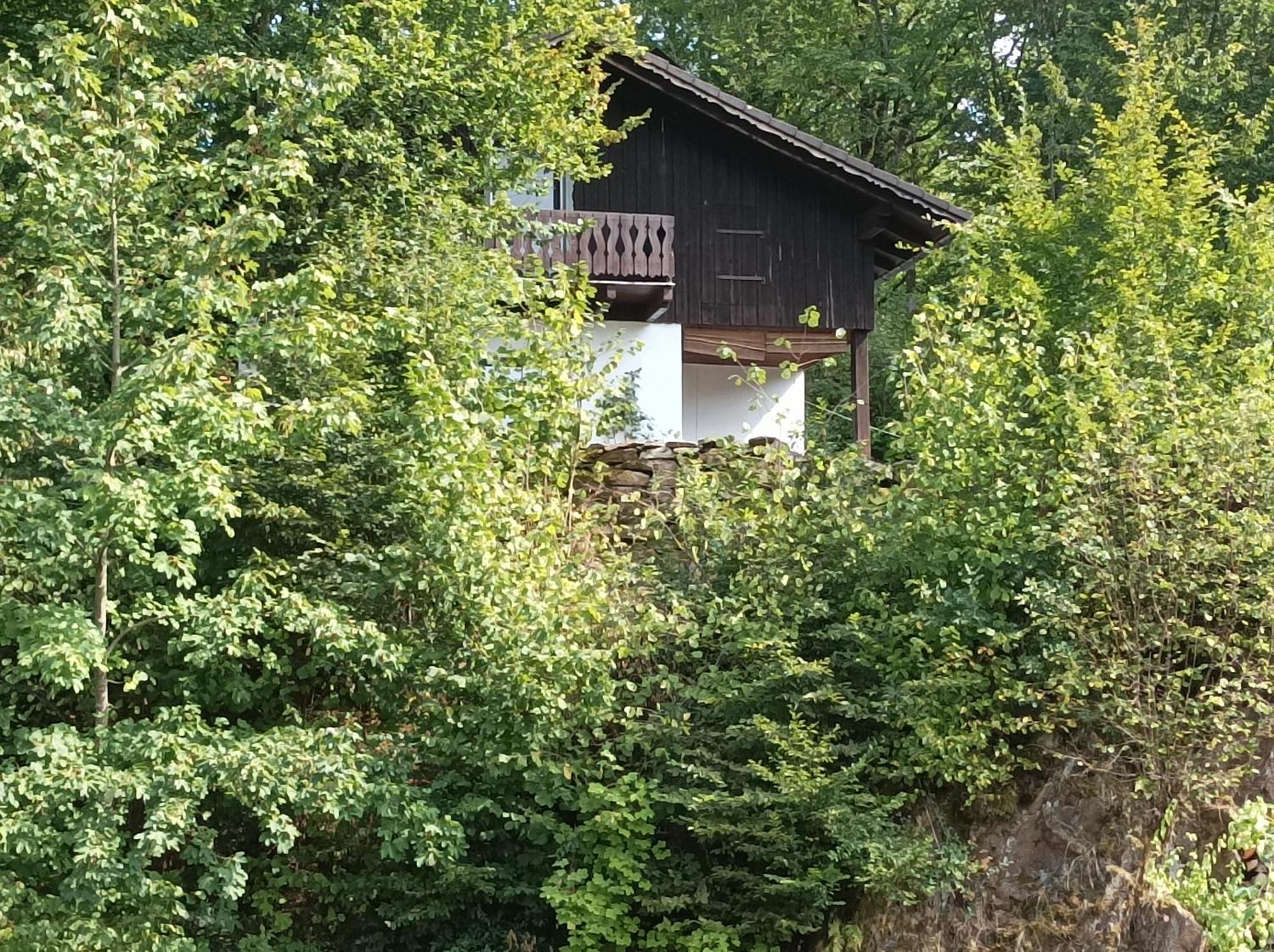 Burgberg Schoellnstein Iggensbach Dış mekan fotoğraf