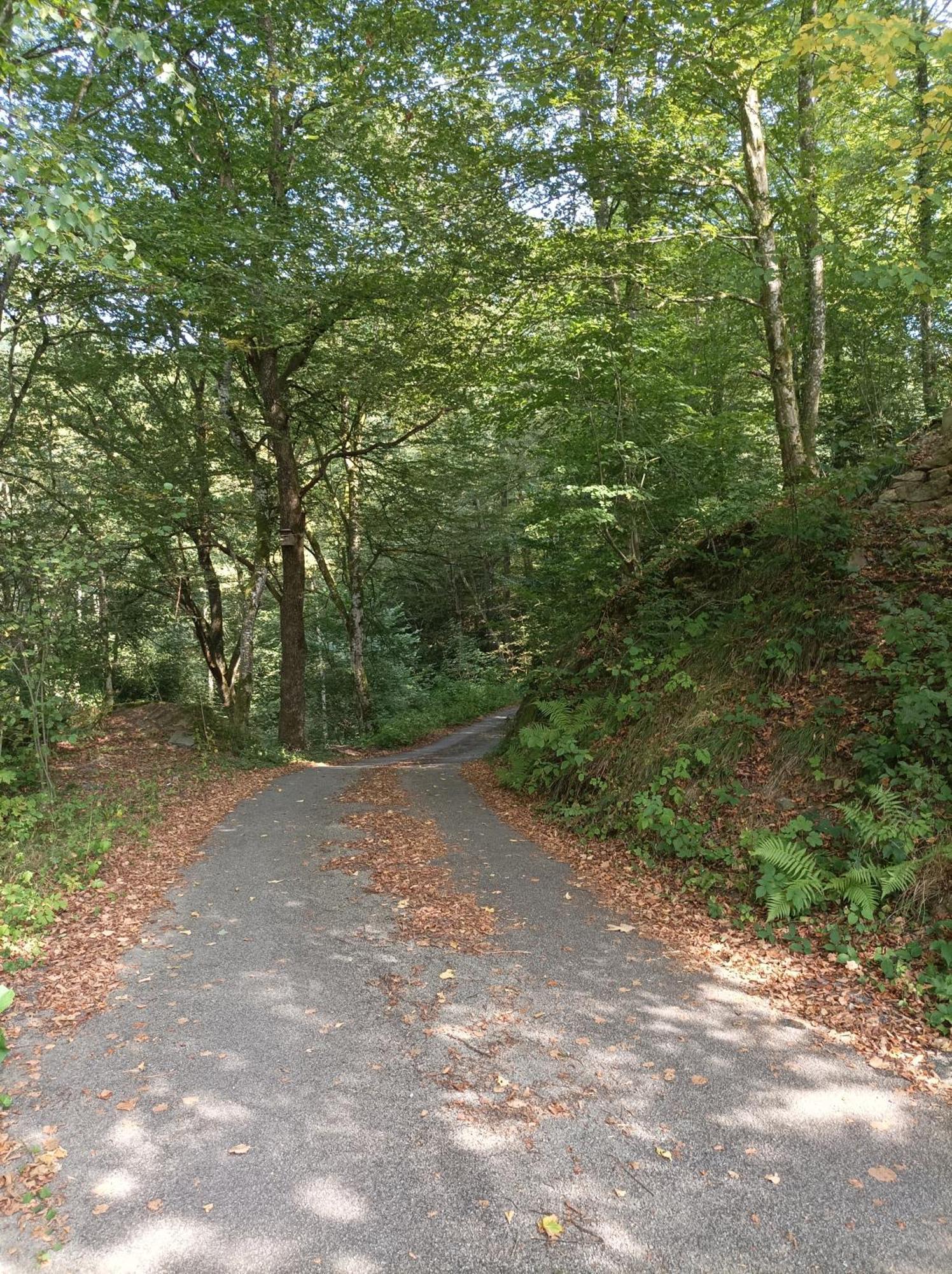 Burgberg Schoellnstein Iggensbach Dış mekan fotoğraf