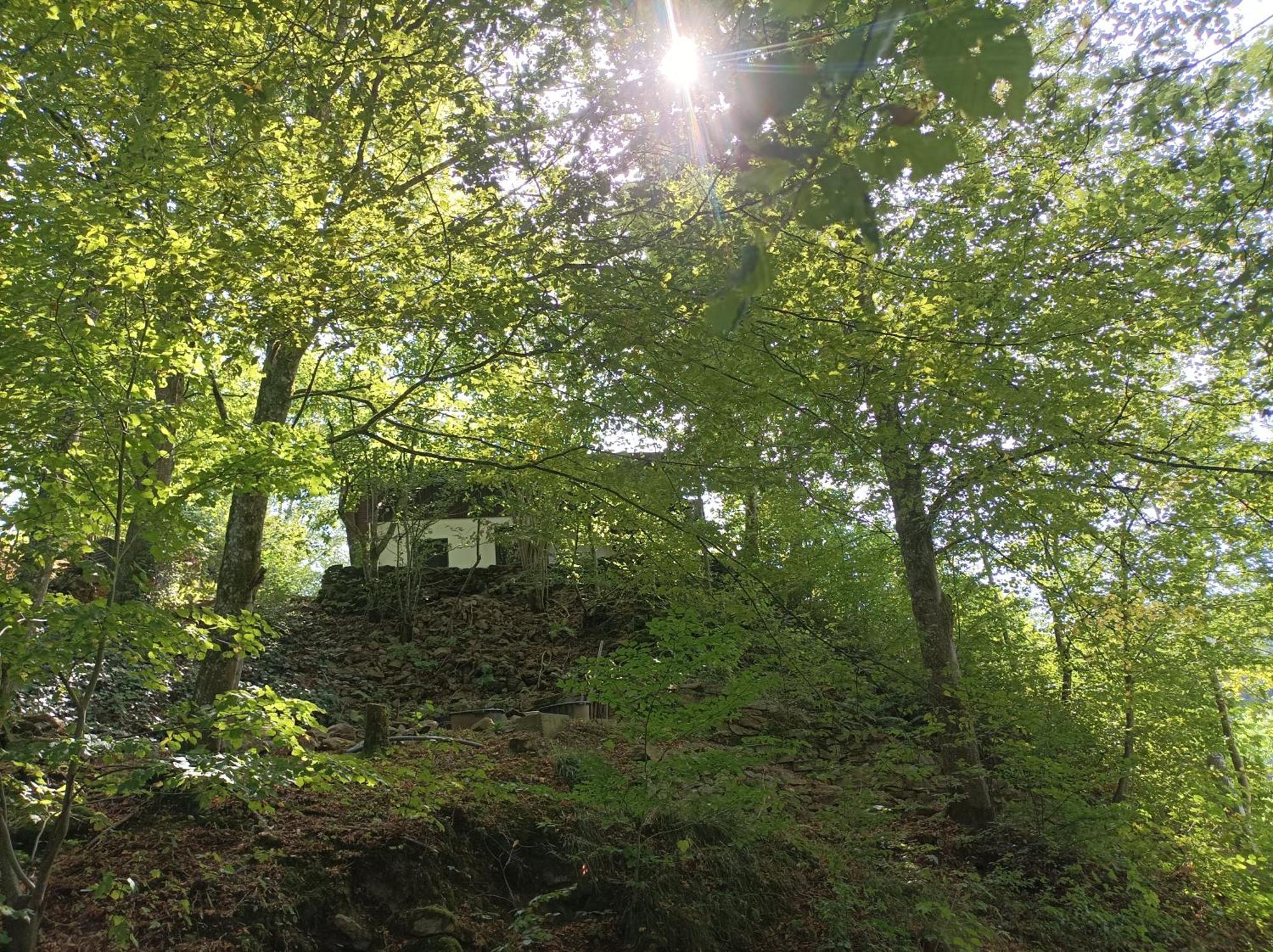 Burgberg Schoellnstein Iggensbach Dış mekan fotoğraf